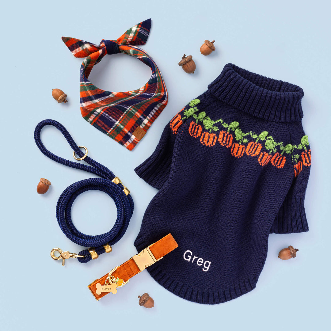 Pumpkin Velvet Dog Collar