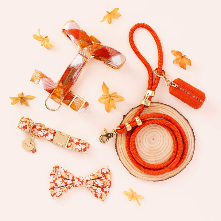 Maple Leaf Collar Charm
