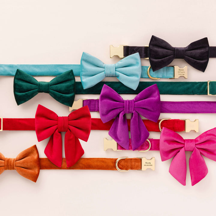 Pumpkin Velvet Dog Bow Tie