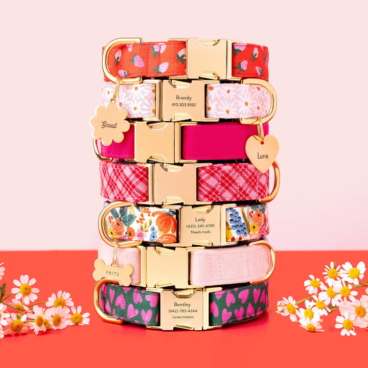 Berry Sweet Dog Collar