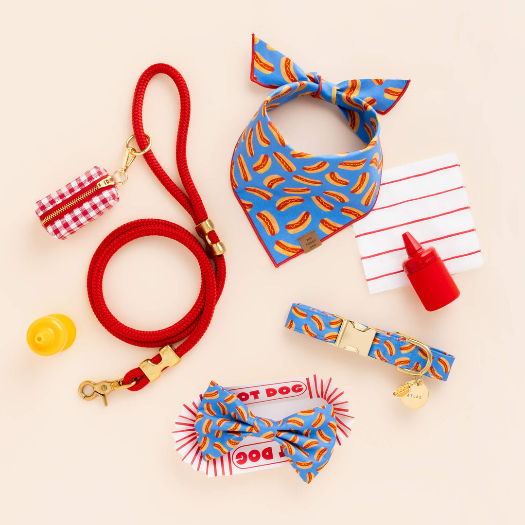 Hot Diggity Bow Tie Collar - Bonjour Fête 