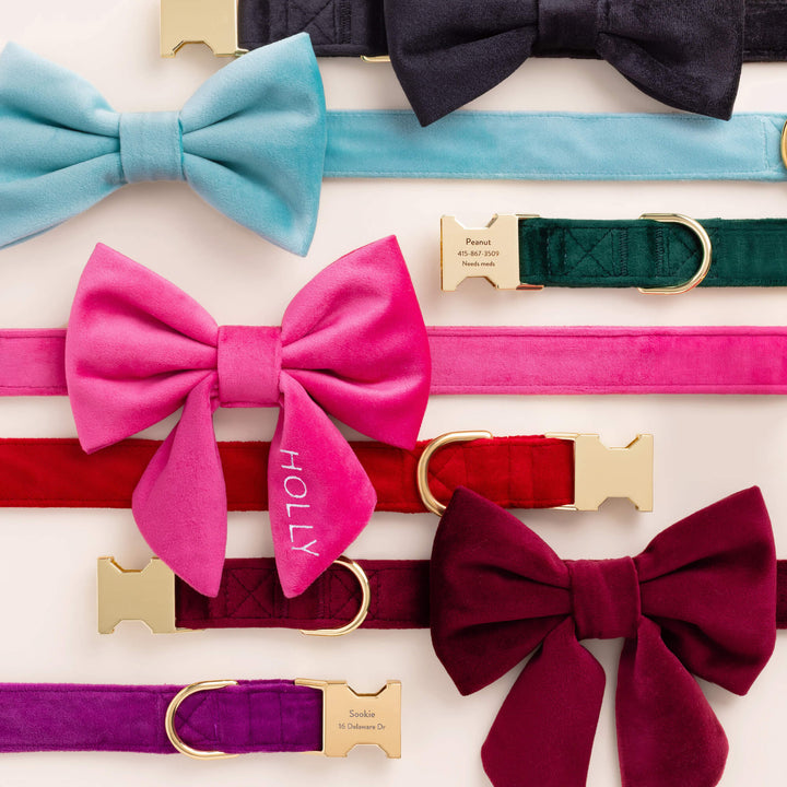 Black Velvet Dog Bow Tie