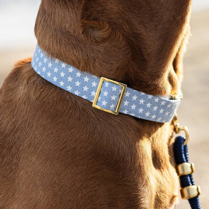 Liberty Dog Collar - Bonjour Fête 