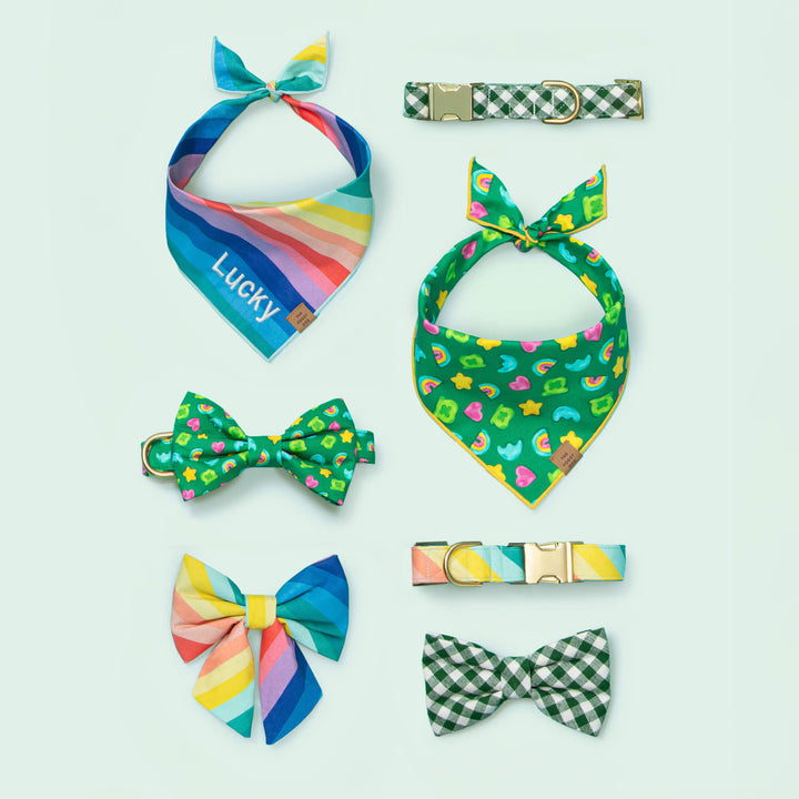 Over the Rainbow Dog Collar