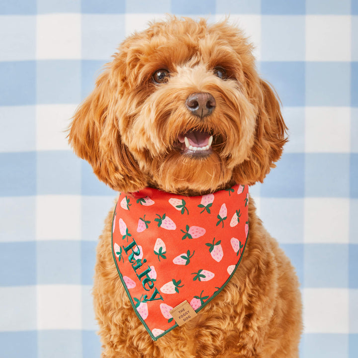 Dog wearing the Berry Sweet berry-print bandana in size medium