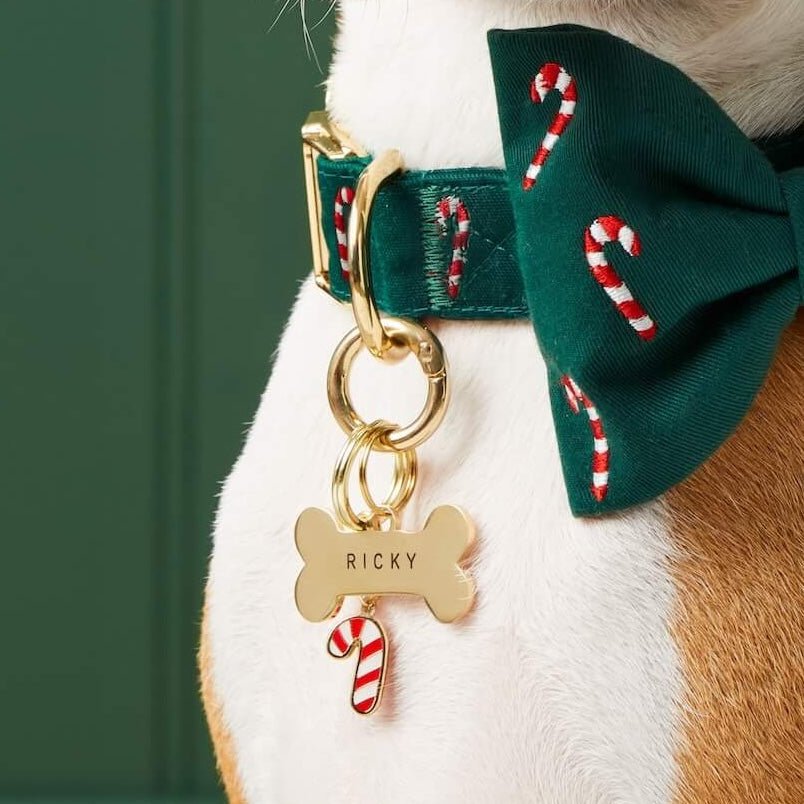 Candy cane charm beneath a gold bone tag on a dog's green embroidered candy cane collar and bow tie.