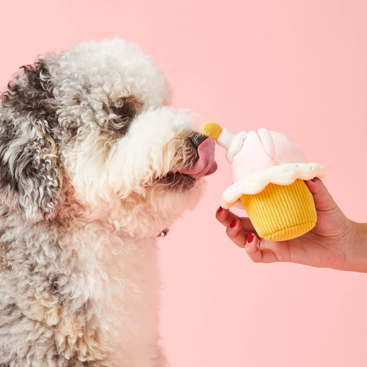 Birthday Cupcake 2-in-1 Bounce Dog Toy - Bonjour Fête 