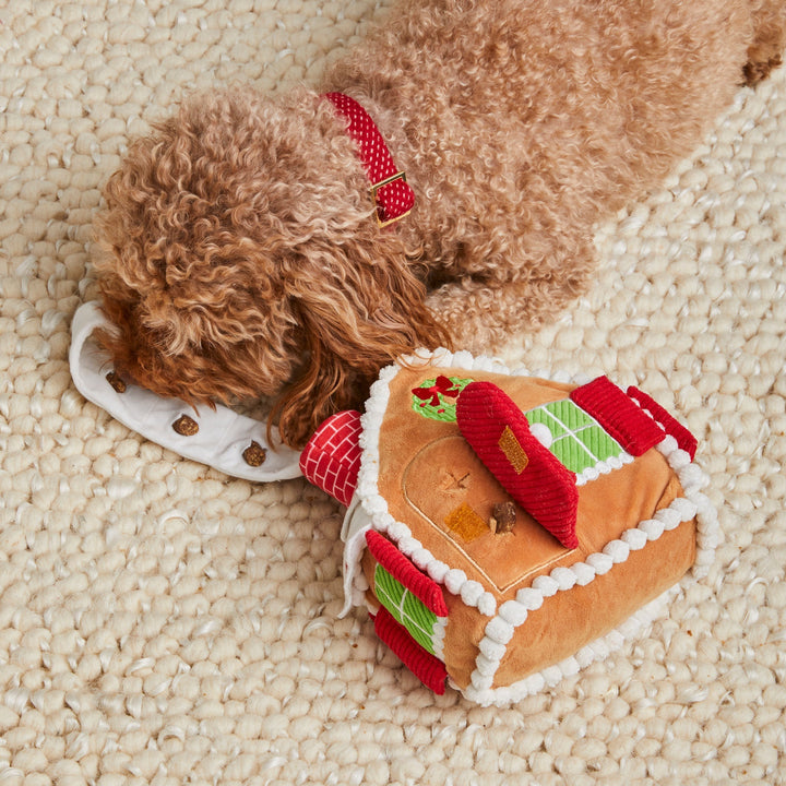 Apricot poodle on a shag rug beside the open gingerbread house toy