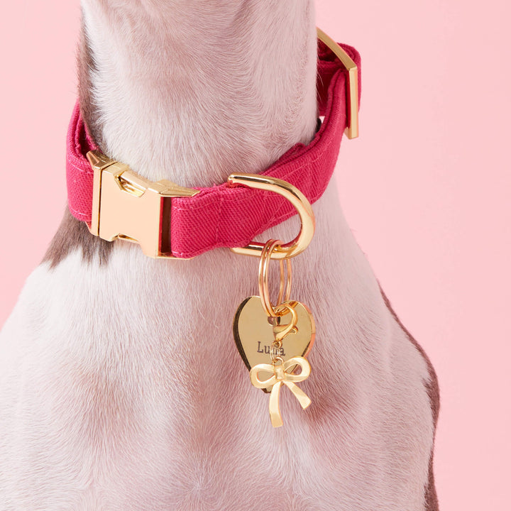 Dog in a hot pink collar wearing a gold heart ID tag and the gold bow charm against pink