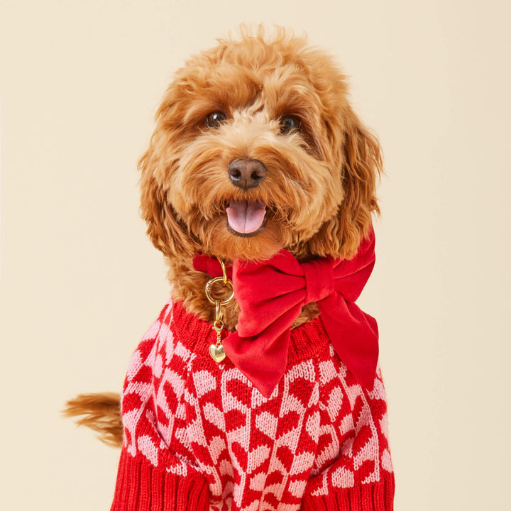 Cranberry Velvet Lady Bow Collar