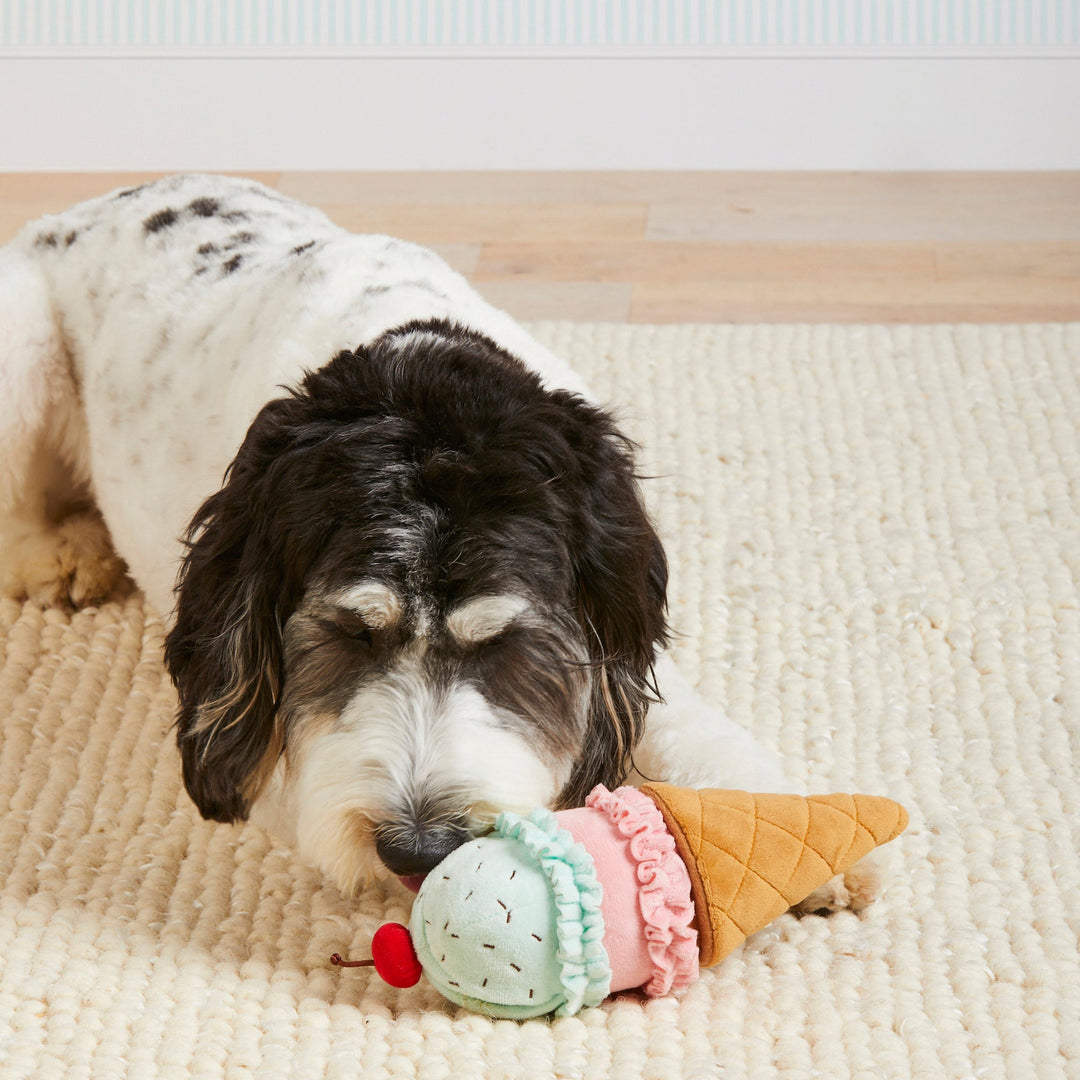 Ice Cream Interactive Snuffle Dog Toy - Bonjour Fête 