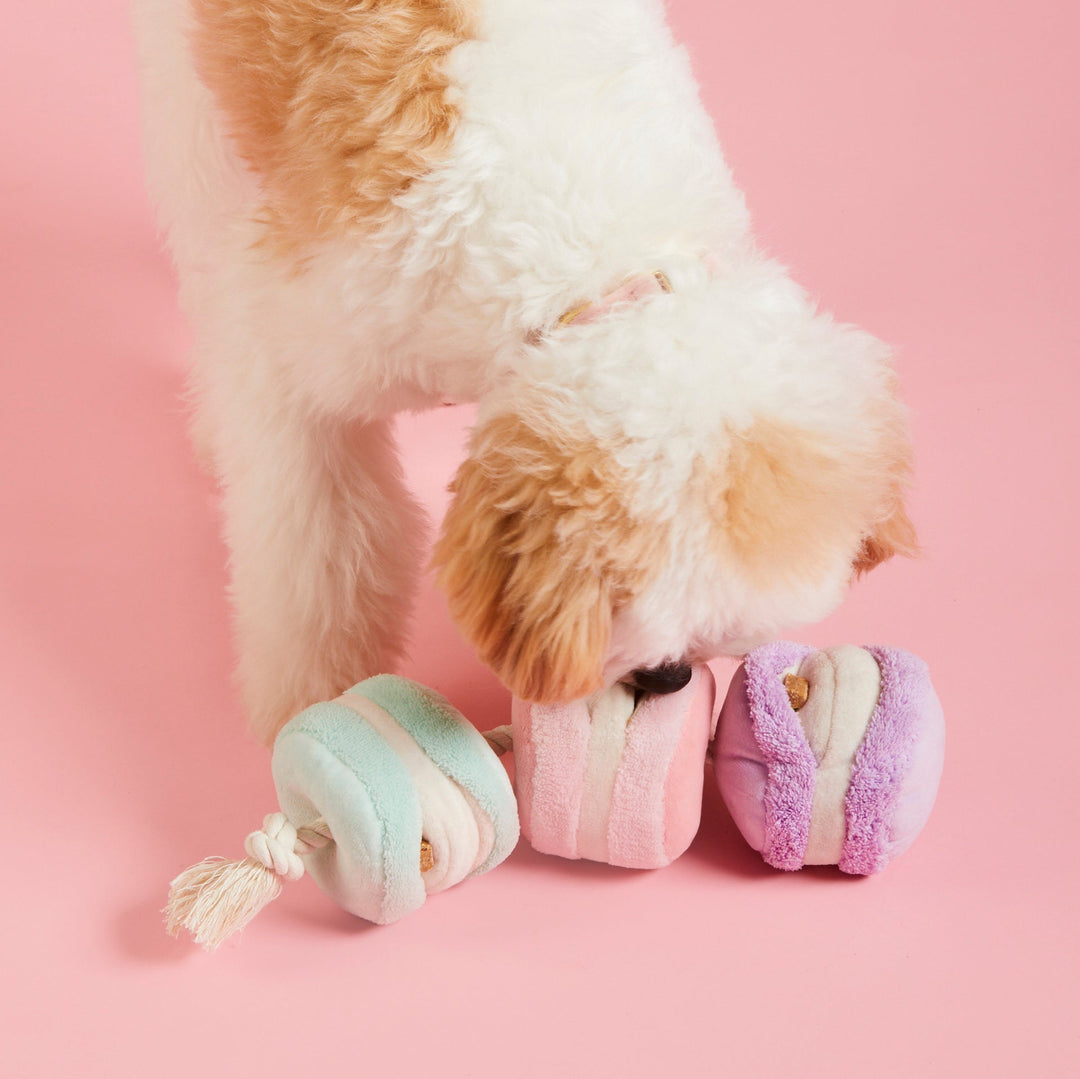 Macarons Interactive Snuffle Dog Toy - Bonjour Fête 