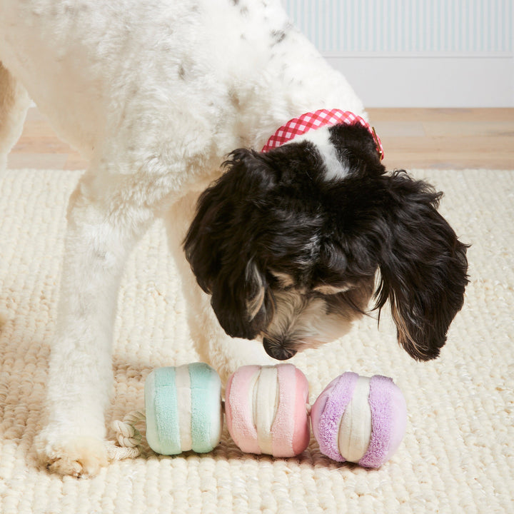 Macarons Interactive Snuffle Dog Toy - Bonjour Fête 