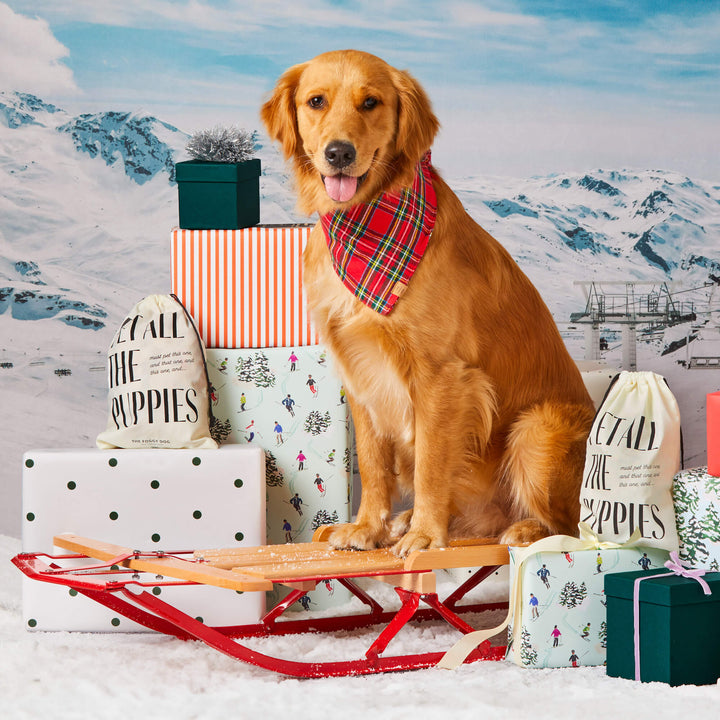 Golden dog on a red sled with wrapped gifts in a snowy mountain set, wearing the tartan bandana