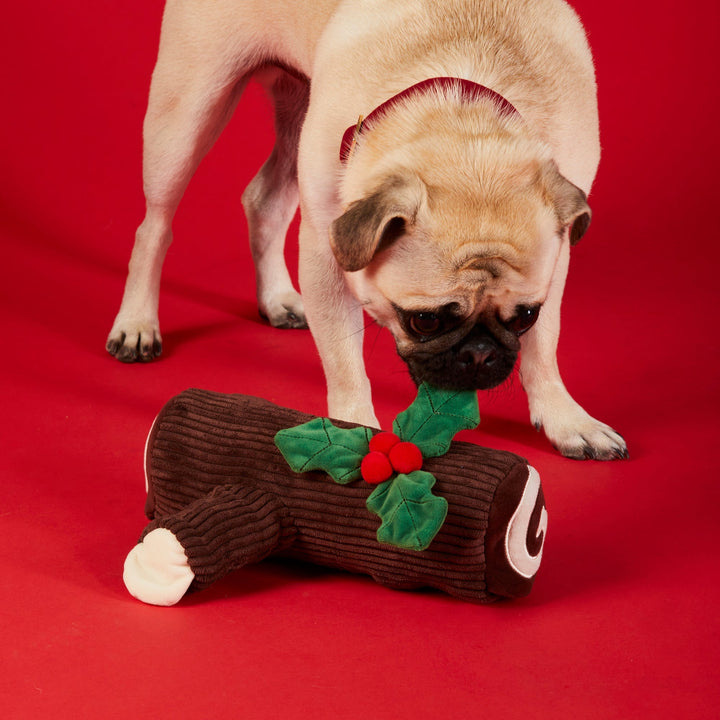 Pug in a red harness sniffing the yule log toy on a red backdrop