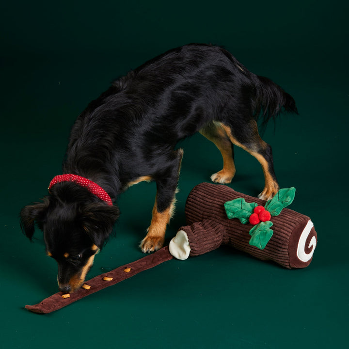 Black and tan dog in a red collar sniffing the yule log's unrolled treat ribbon on dark green