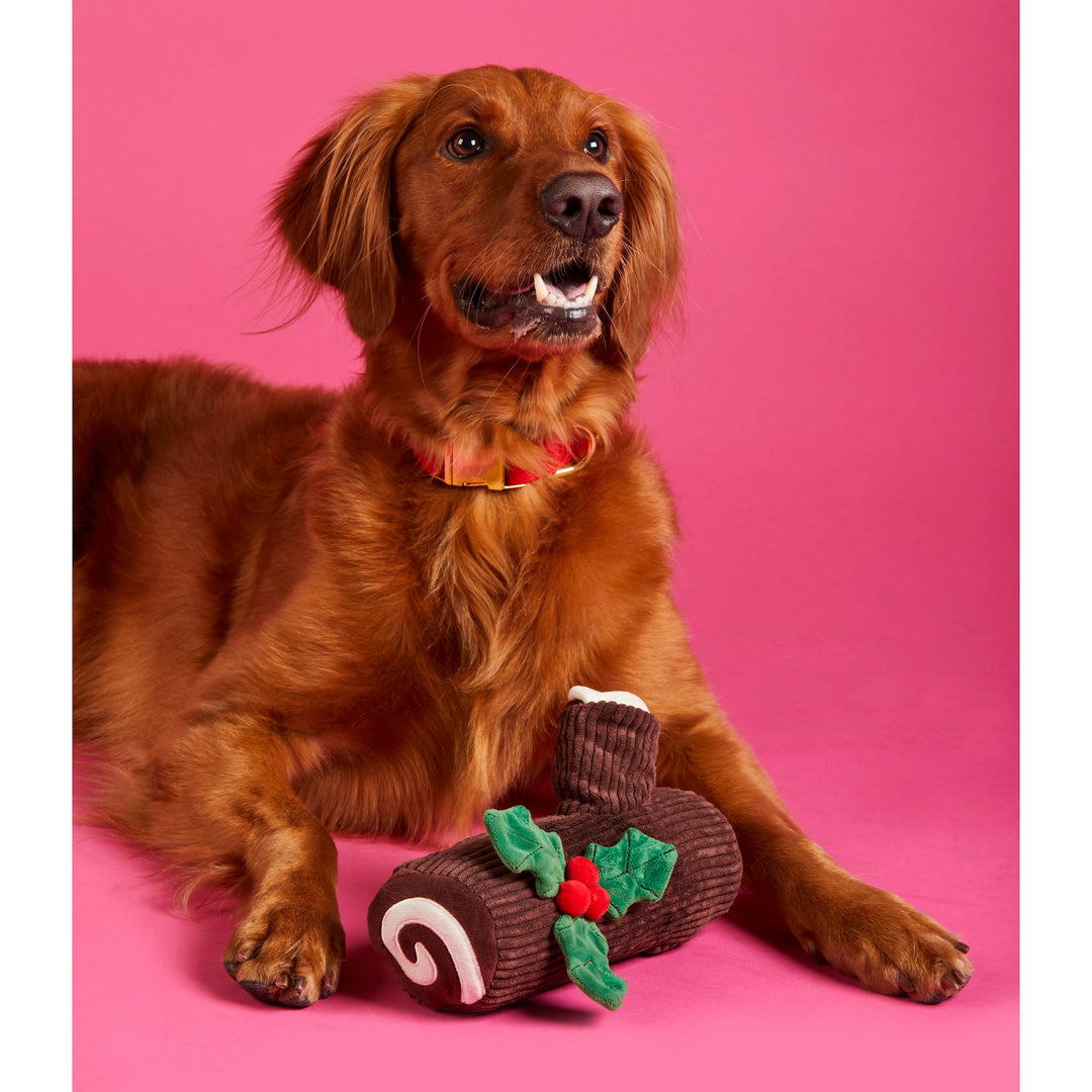 Red setter sitting on hot pink with the yule log dog toy between its paws