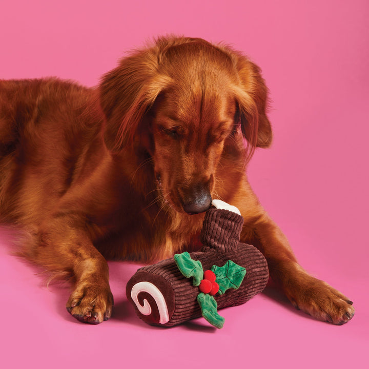 Red setter lying on hot pink and nosing the yule log toy