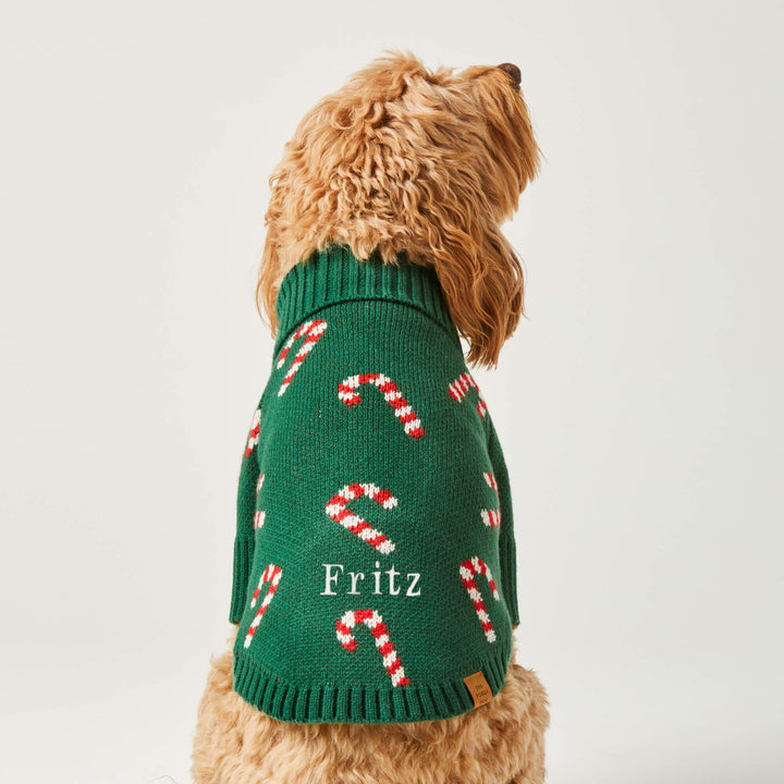 Doodle seen from behind in the green candy cane sweater with a sample name stitched on the back