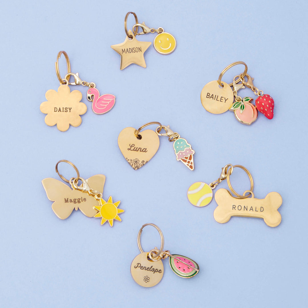 Ice Cream Collar Charm