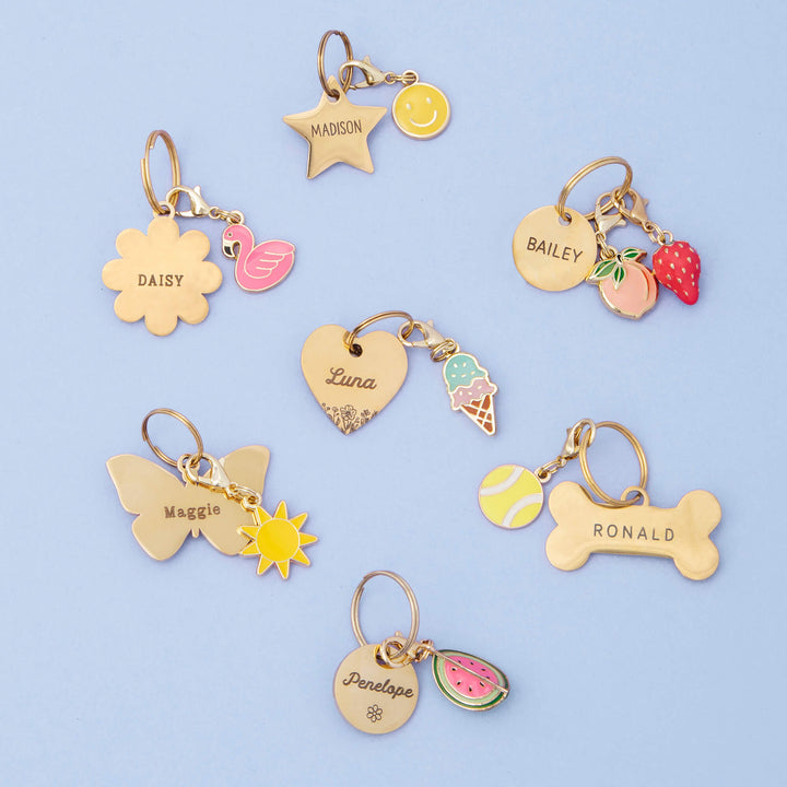 Ice Cream Collar Charm