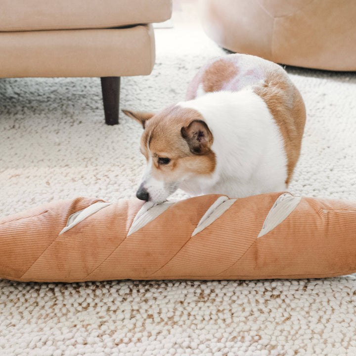 GIANT BAGUETTE DOG TOY Lambwolf Collective Pet GIANT BAGUETTE DOG TOY Bonjour Fete - Party Supplies