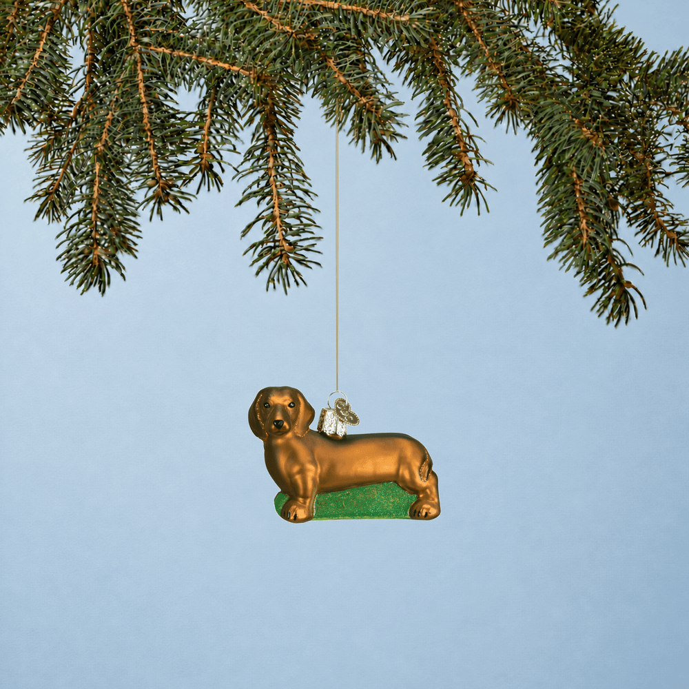 Dachshund dog Christmas ornament hanging from a Christmas tree branch 