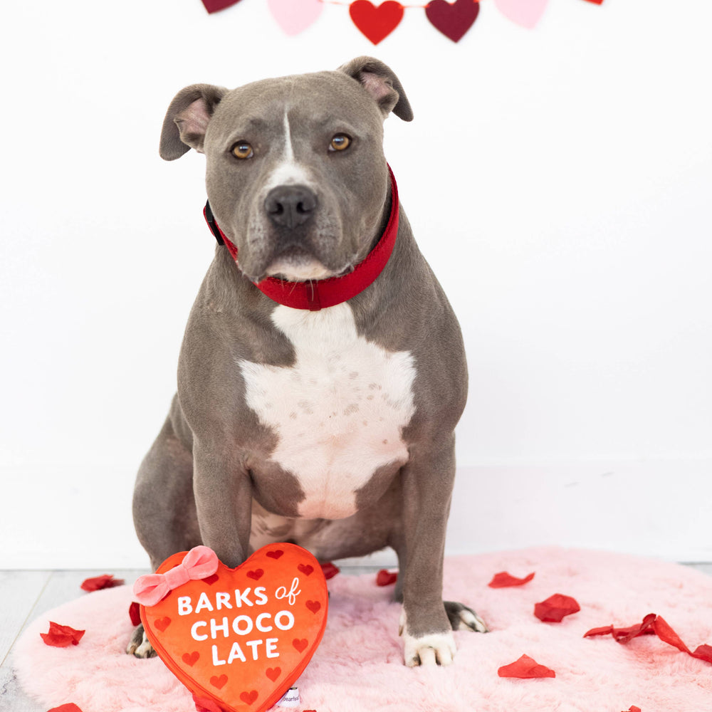 Barks of Chocolate Plush Dog Toy Pearhead Barks of Chocolate Plush Dog Toy Bonjour Fete - Party Supplies