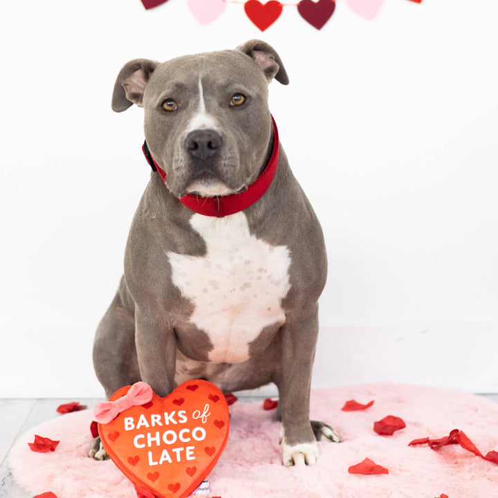 Barks of Chocolate Plush Dog Toy Pearhead Barks of Chocolate Plush Dog Toy Bonjour Fete - Party Supplies