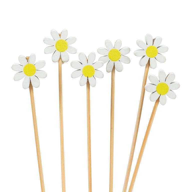 100 Piece White Daisy Pick-4.5"L Abbott 100 Piece White Daisy Pick-4.5"L Bonjour Fete - Party Supplies