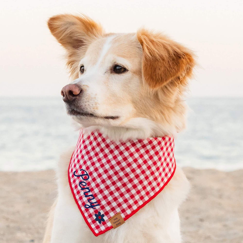 Dog outdoors in summer wearing the red gingham bandana