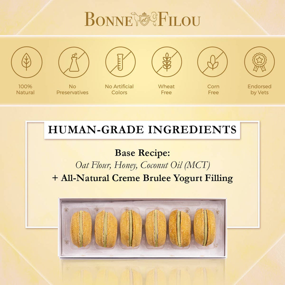 Crème Brulée Macaron Dog Treats Bonjour Fete Party Supplies Pet