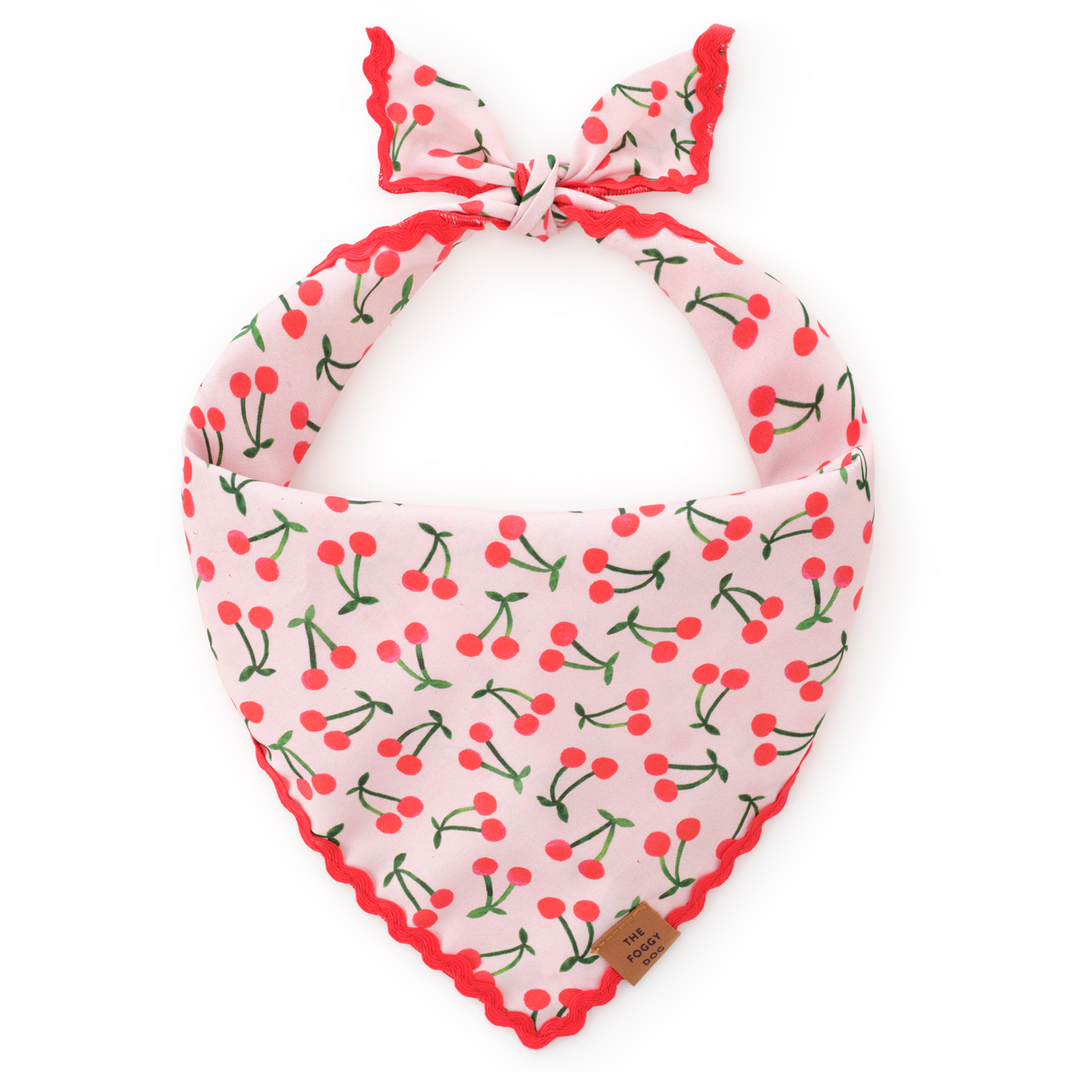 Cherry Jubilee Dog Bandana: S - up to 13” The Foggy Dog Cherry Jubilee Dog Bandana: S - up to 13” Bonjour Fete - Party Supplies