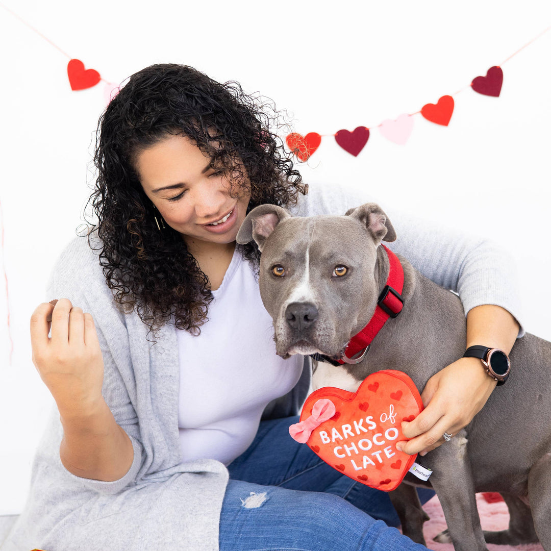 Barks of Chocolate Plush Dog Toy Pearhead Barks of Chocolate Plush Dog Toy Bonjour Fete - Party Supplies