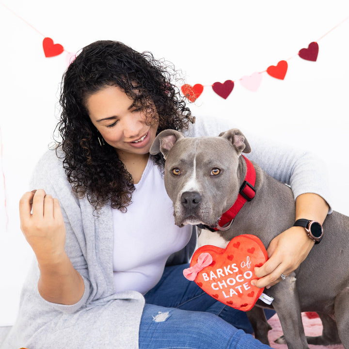 Barks of Chocolate Plush Dog Toy Pearhead Barks of Chocolate Plush Dog Toy Bonjour Fete - Party Supplies