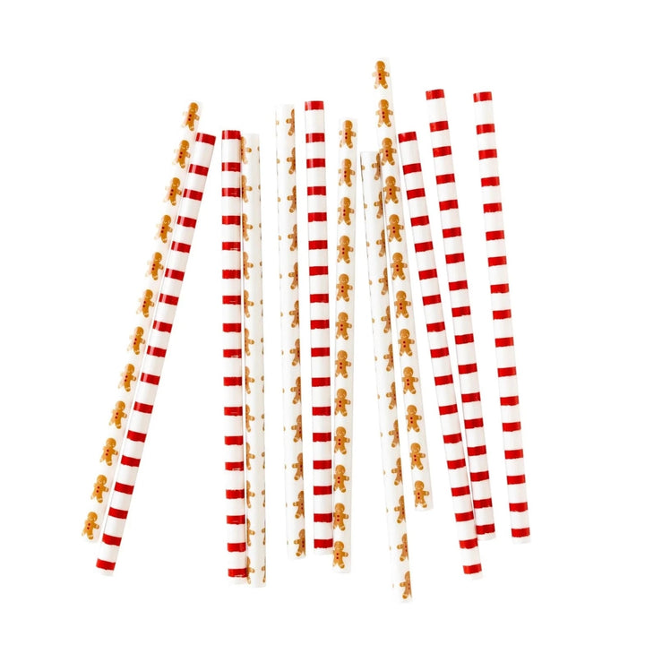 Gingerbread Reusable Straws Bonjour Fete Party Supplies Christmas Holiday Party Supplies