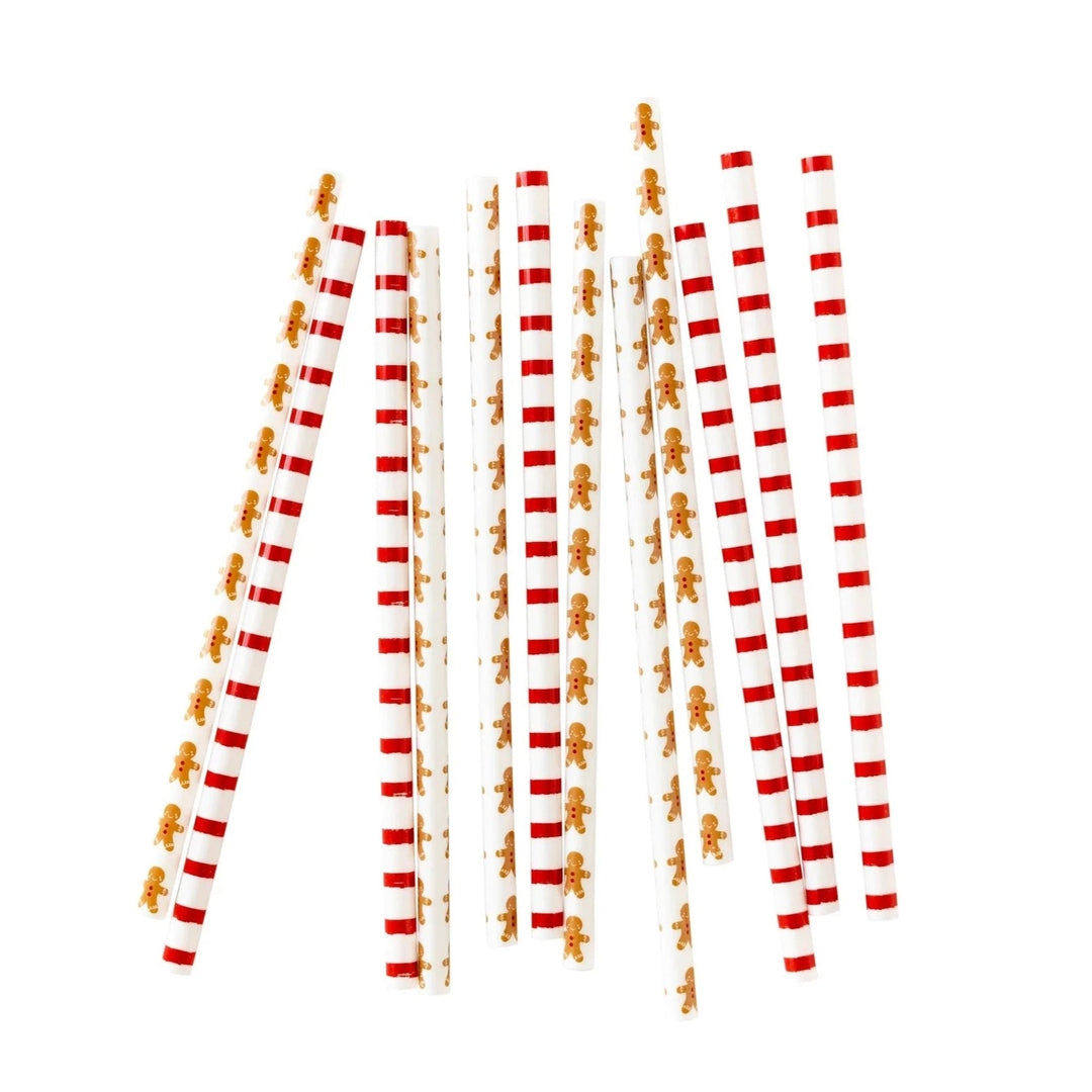 HOLIDAY STRAW PACK Christmas Plastic Straws Reusable Holiday