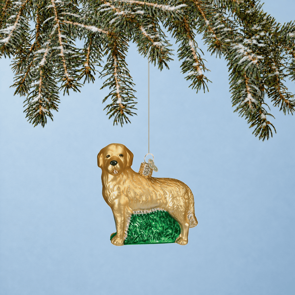 Golden Retriever Christmas tree ornament hanging from a branch with a blue background 