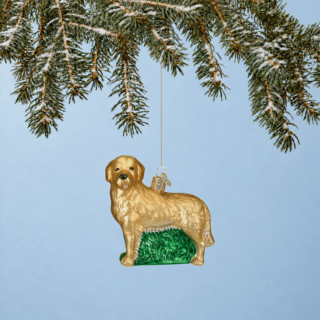 Golden Retriever Christmas tree ornament hanging from a branch with a blue background 