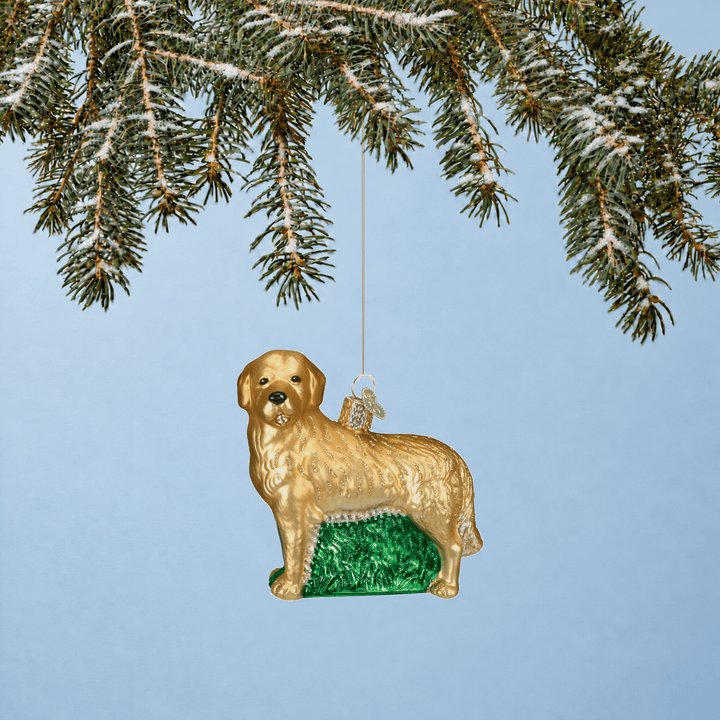 Golden Retriever Christmas tree ornament hanging from a branch with a blue background 