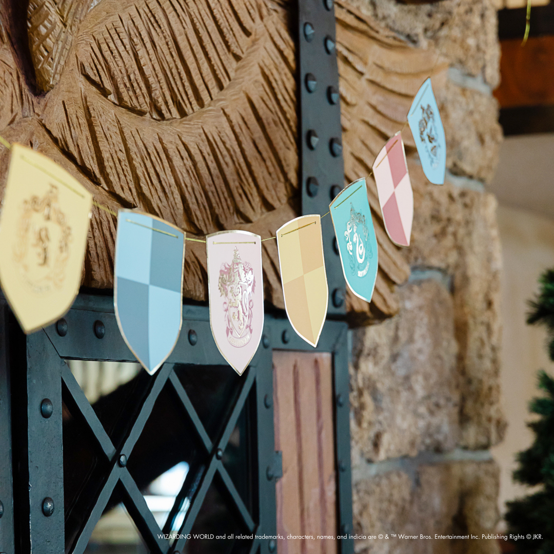 HARRY POTTER X BONJOUR FÊTE HOUSE PRIDE MULTICOLOR DECORATIVE HOGWARTS ...