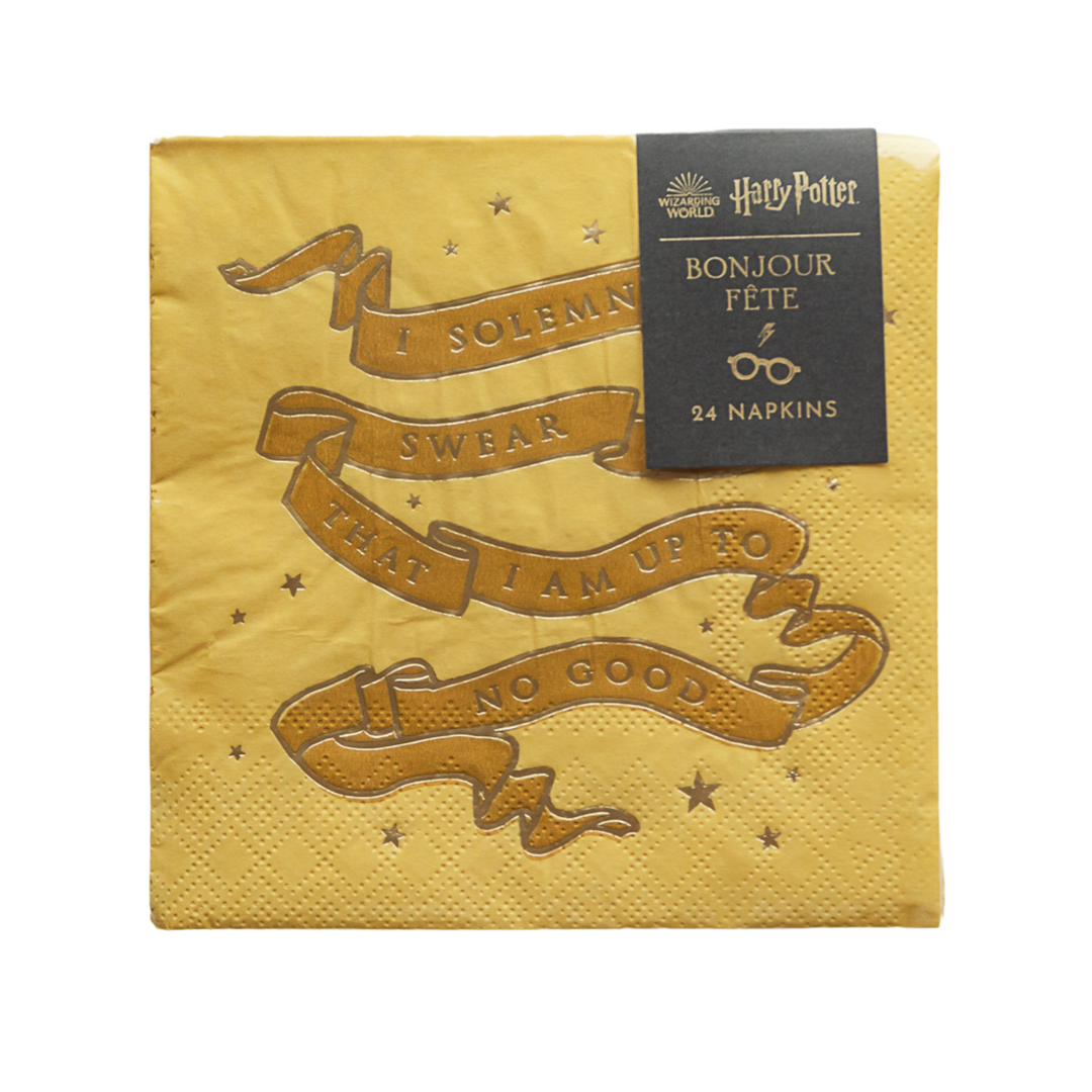 BONJOUR FÊTE X HARRY POTTER HOUSE PRIDE SMALL PARTY NAPKINS Bonjour Fete Napkins Bonjour Fete - Party Supplies