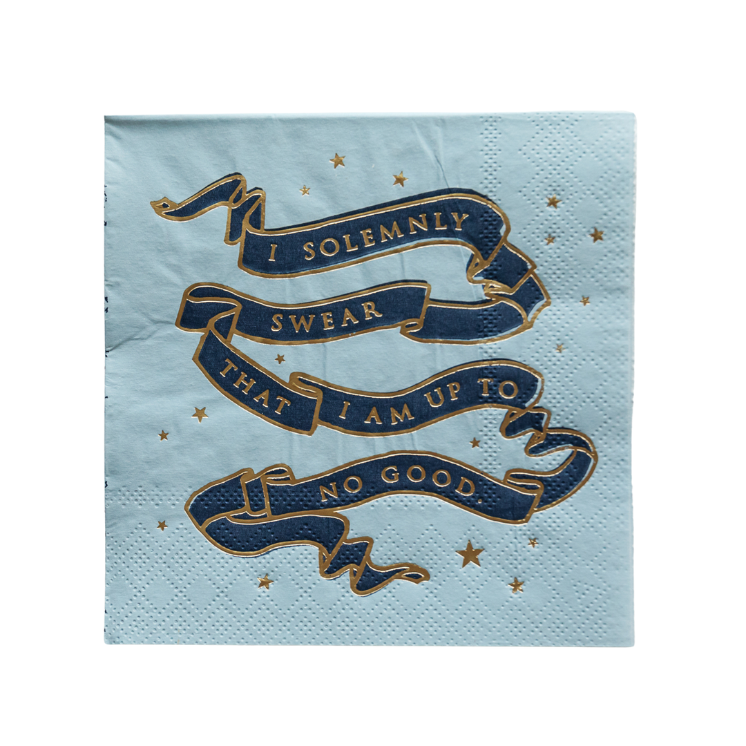 BONJOUR FÊTE X HARRY POTTER HOUSE PRIDE SMALL PARTY NAPKINS Bonjour Fete Napkins Bonjour Fete - Party Supplies