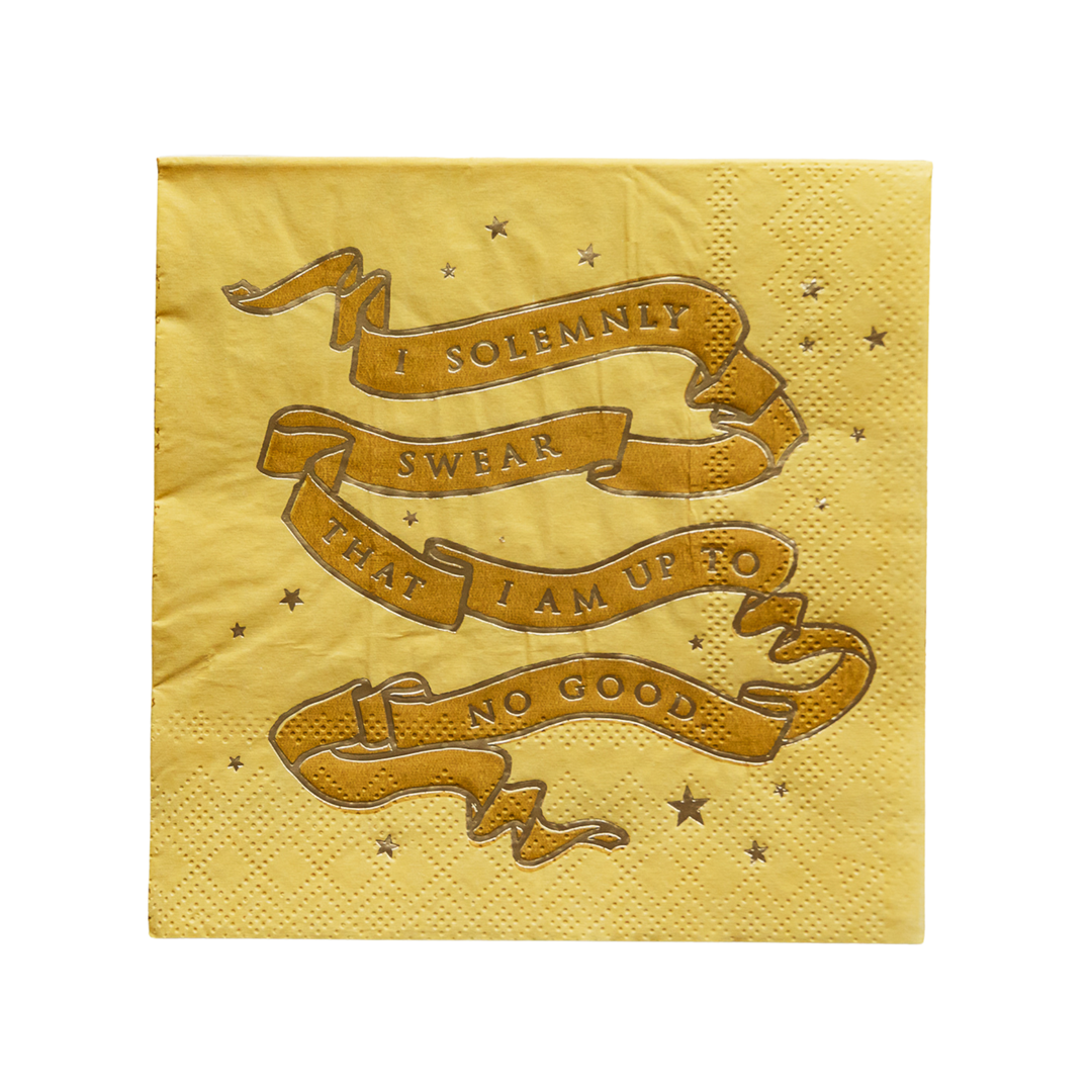 BONJOUR FÊTE X HARRY POTTER HOUSE PRIDE SMALL PARTY NAPKINS Bonjour Fete Napkins Bonjour Fete - Party Supplies