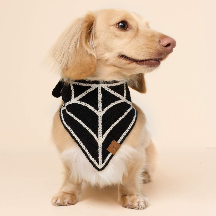 Spiderweb Crochet Dog Bandana