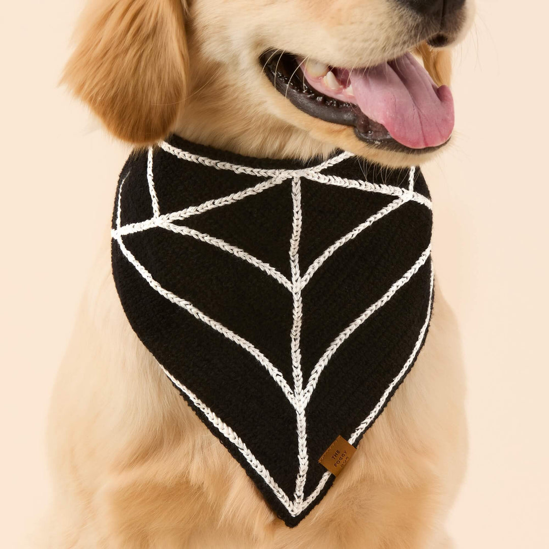 Spiderweb Crochet Dog Bandana