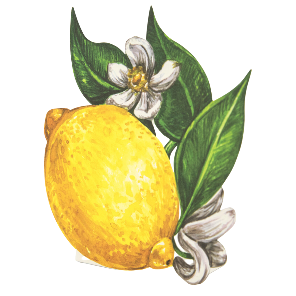 LEMON PLACECARDS Hester & Cook Bonjour Fete - Party Supplies
