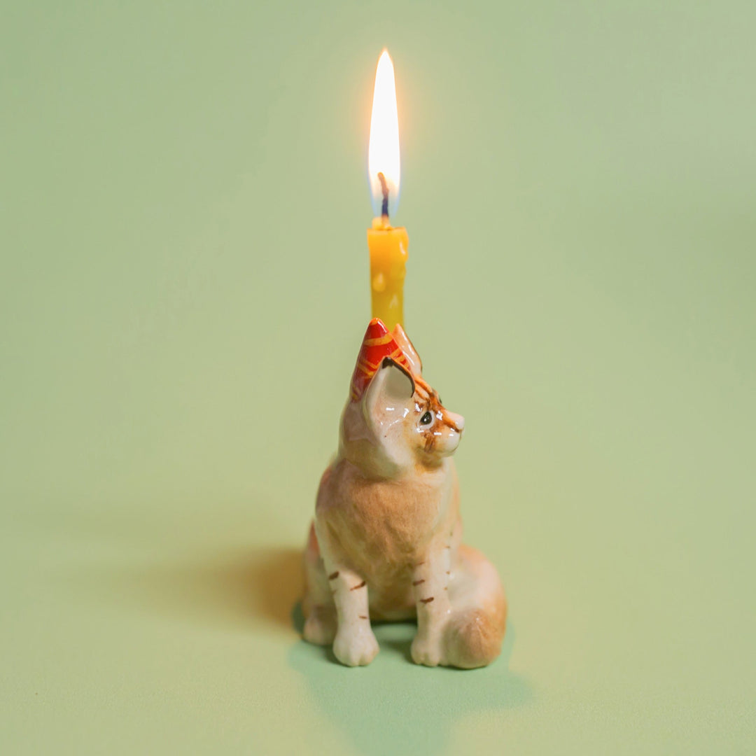 Maine coon cat cake topper looking up at a lit birthday candle for a cat birthday cake decoration
