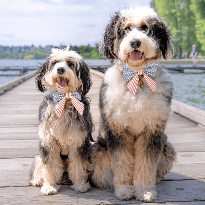 Stars and Stripes Lady Dog Bow - Bonjour Fête 