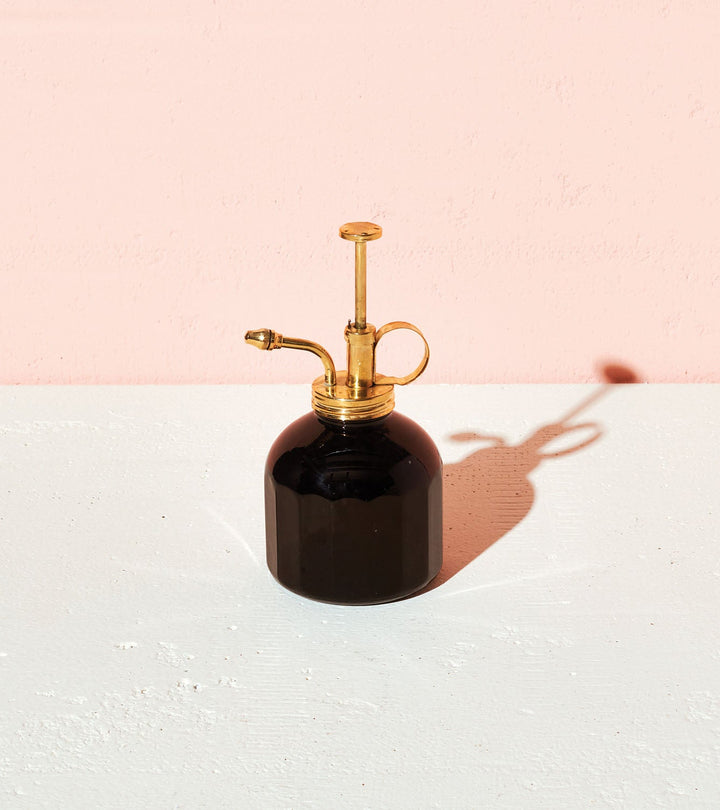 Black plant mister with a brass pump and long curved nozzle on a blush and white backdrop